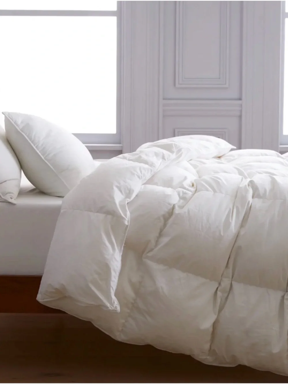 Quince Premium Down Alternative Comforter King / Cal King Insert Lightweight
